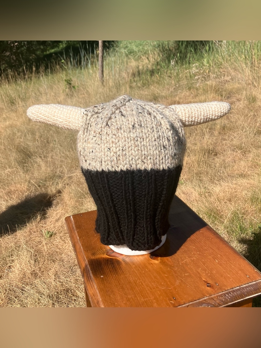 Viking Helmet Beanie